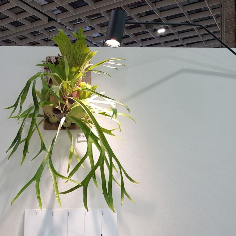 #OURA室內植照燈|桌燈|吊燈|軌道燈|懸臂燈